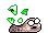 Death